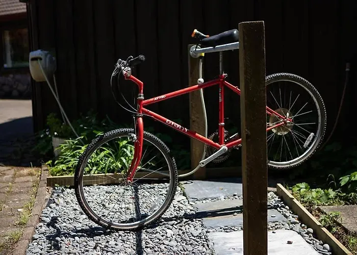 Mountain Bike Manor 別荘